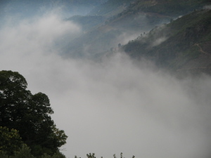misty morning