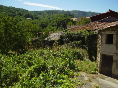 Las 2 habitaciones tienen éstas vistast preciosas sobre viñas, antiguas bodegas, bosques y montañas