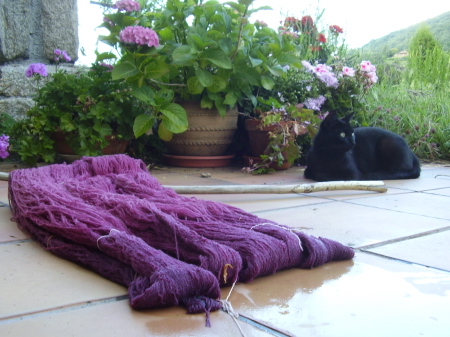 curso de tintes naturales en Anna Champeney Estudio Textil, Galicia, España