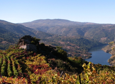 paisaje de la ribeira sacra