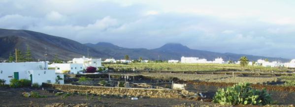 Mala el pueblo de cochinilla en Lanzarote