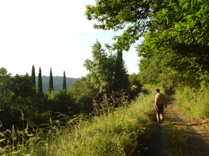 Explore the Ribeira Sacra on foot to disconnect from the stress of urban living.   Cristosende - O Barrio - Crisotsende